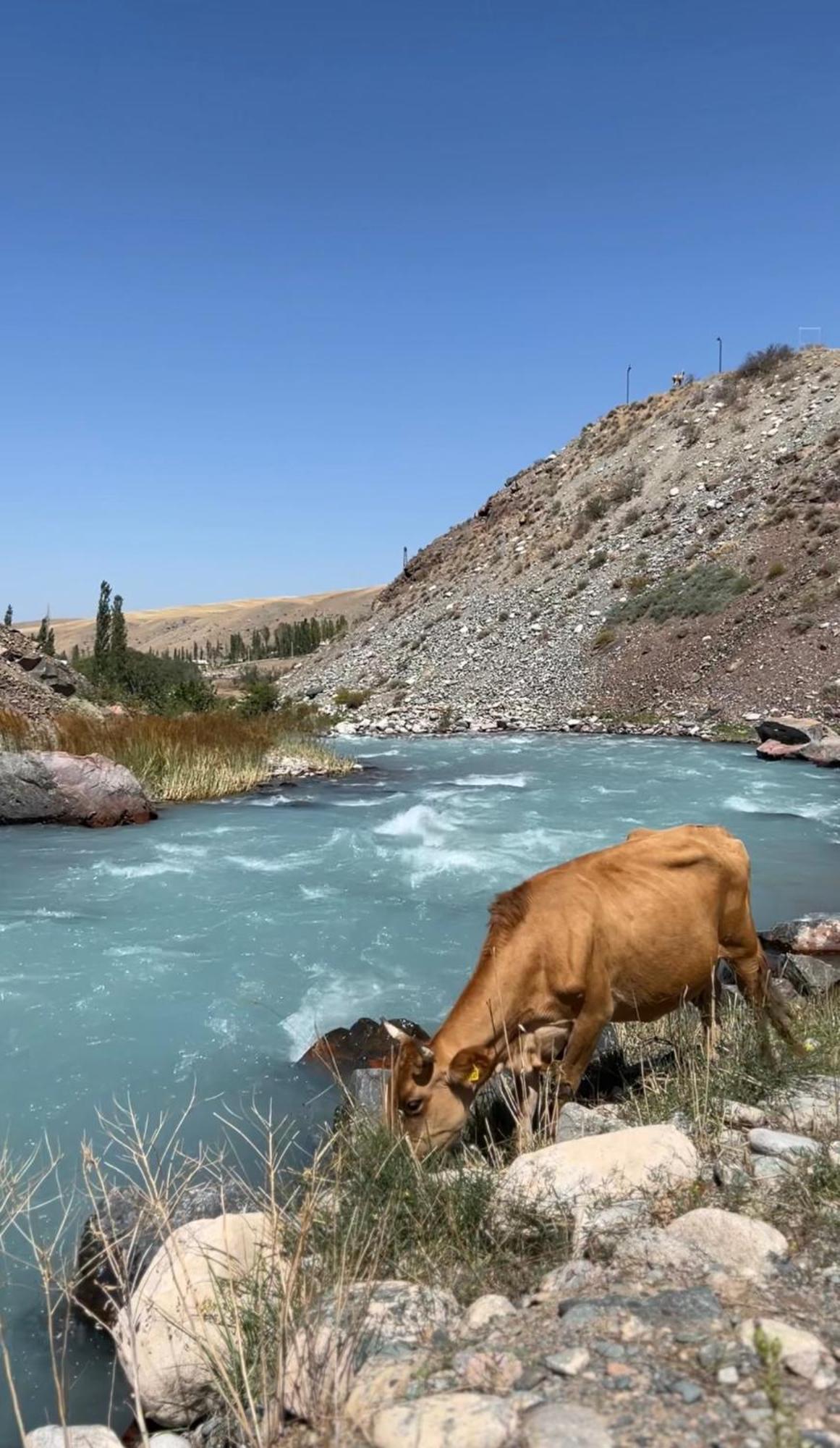 Mountain View Hot Spring Resort Bişkek Dış mekan fotoğraf