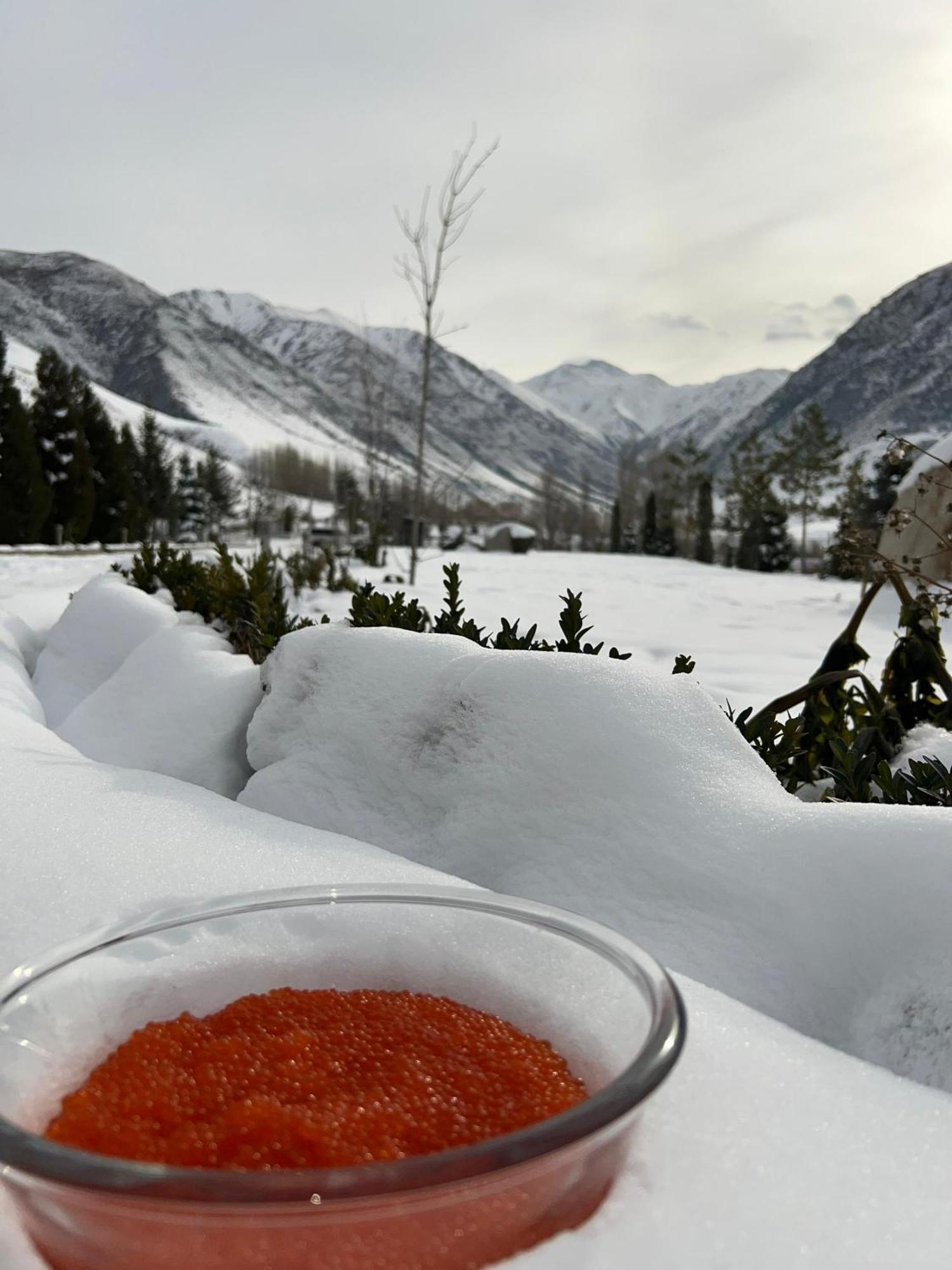 Mountain View Hot Spring Resort Bişkek Dış mekan fotoğraf